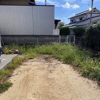 画像363