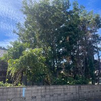 画像370