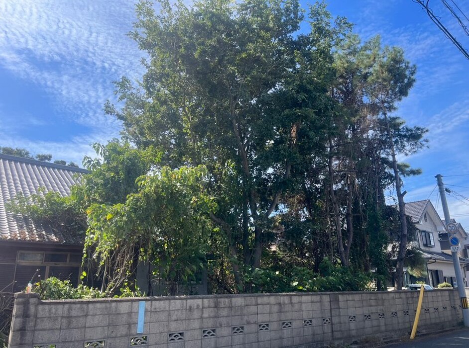 画像370